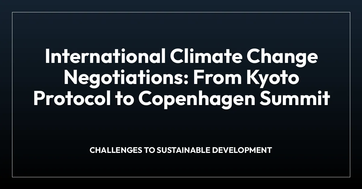 International Climate Change Negotiations: From Kyoto Protocol to Copenhagen Summit